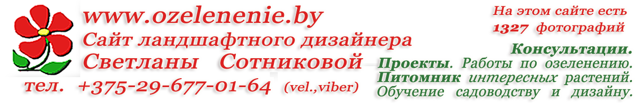 Landscape design, plant nursery, gardening, seminars. Minsk, Belarus. tel +375296770164
